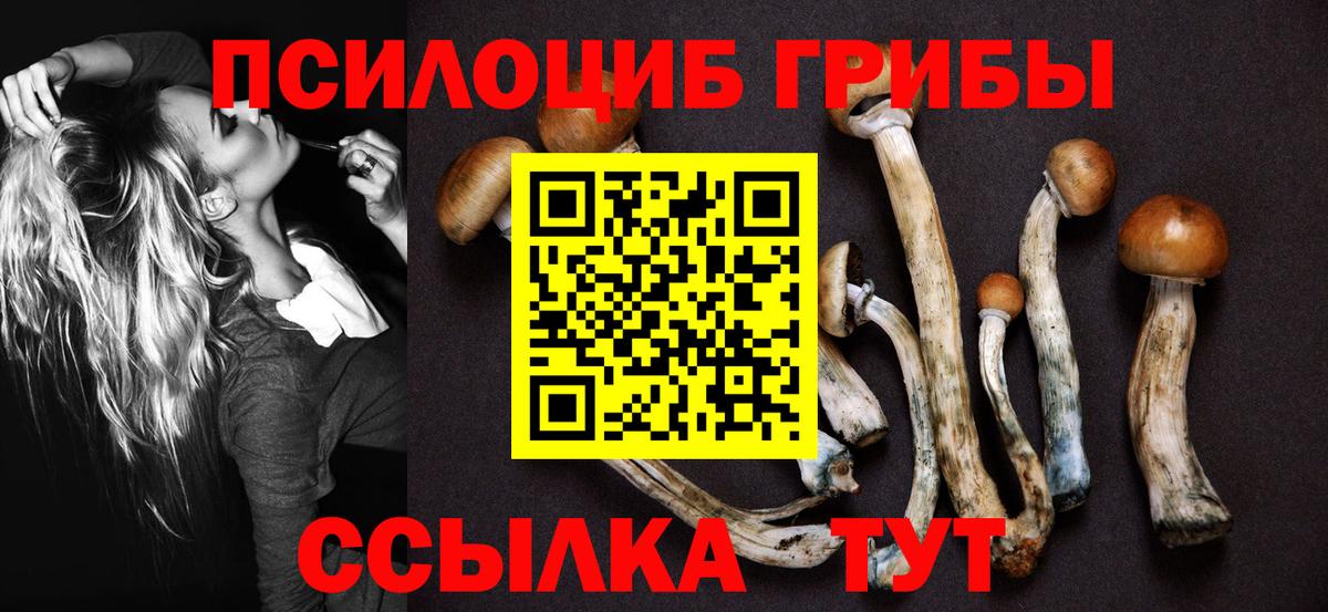 Семёнов  Галлюциногенные грибы MAGIC MUSHROOMS  Вход с VPN 