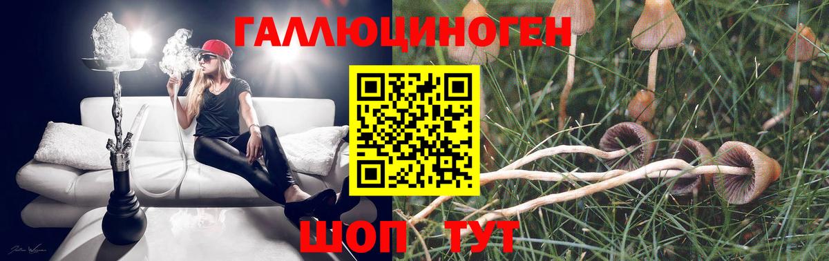 Псилоцибиновые грибы мухоморы Семёнов